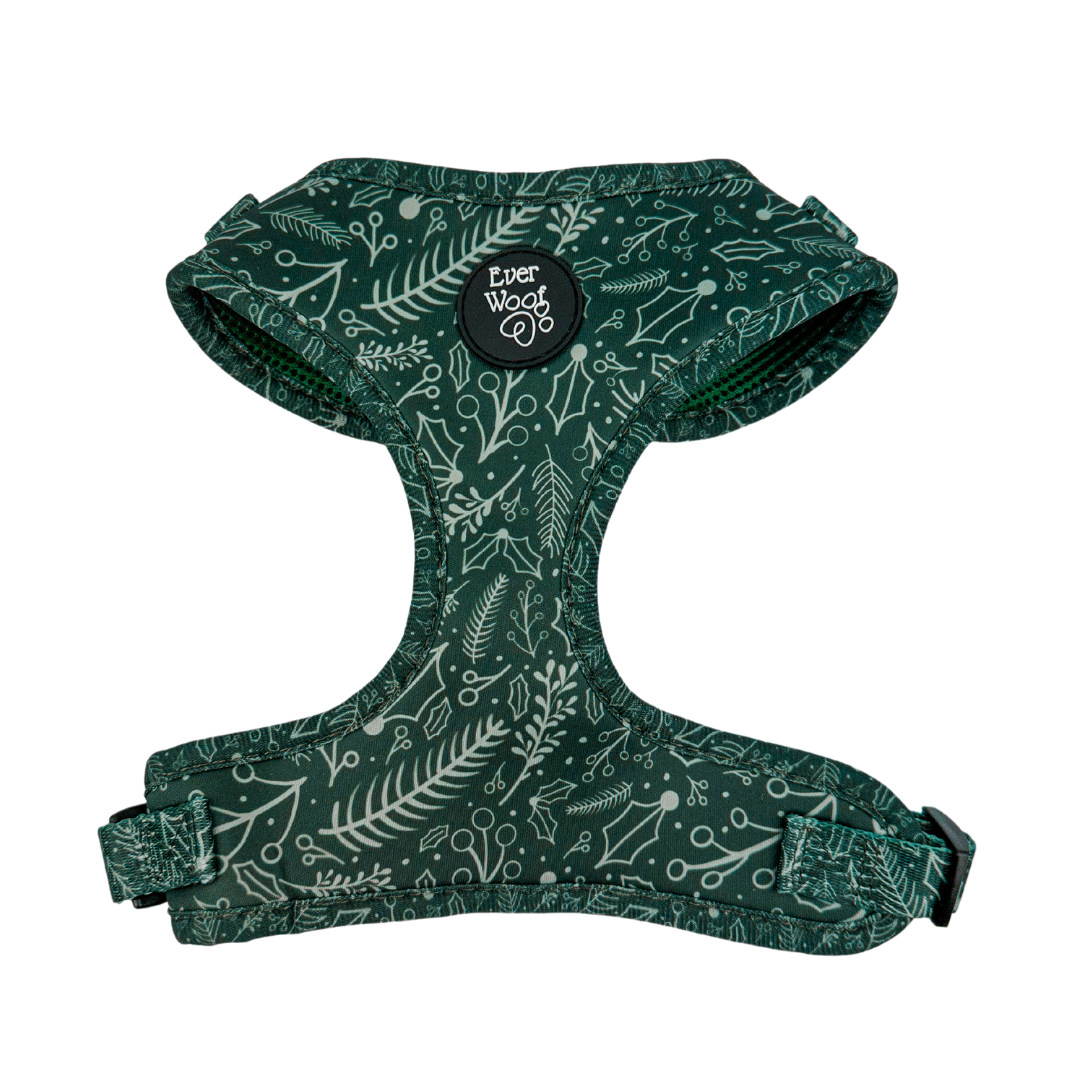 Pet Harness Harness Evergreen Dream Adjustable Harness Essen - main product image for pet harness