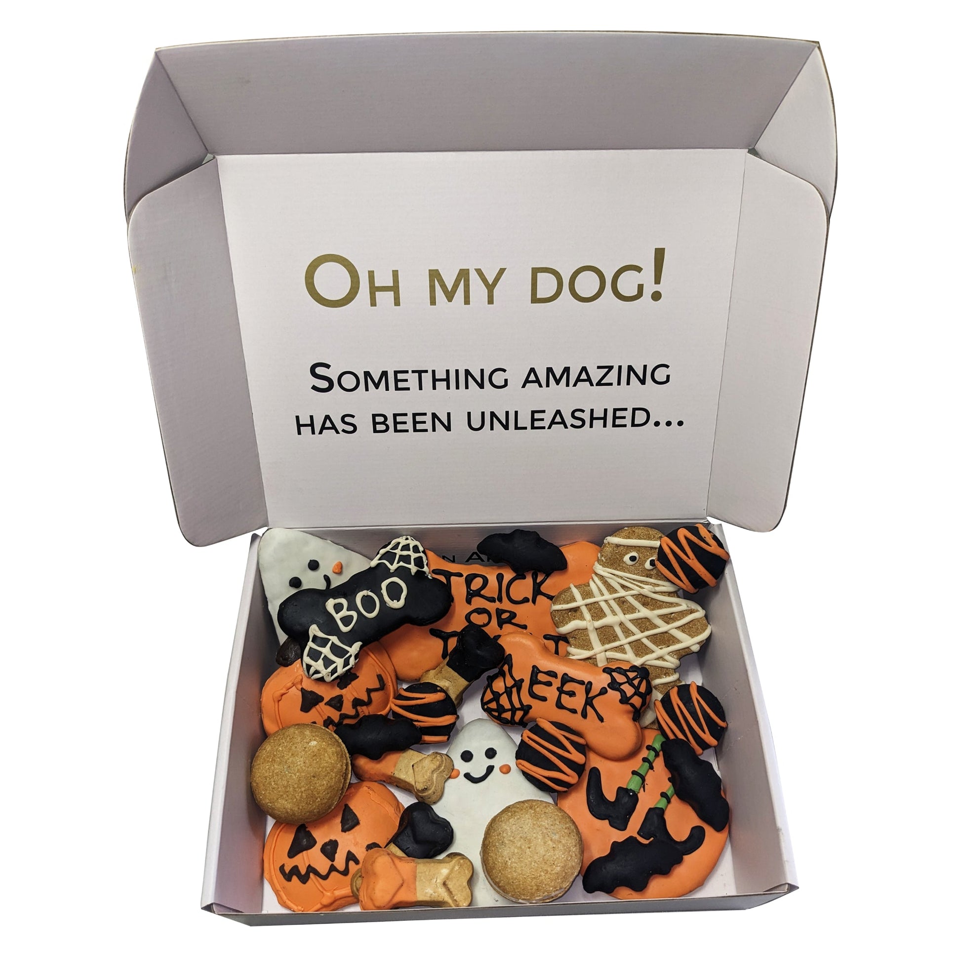 Dog Treats Halloween Themed Treats Gift Box for Daily Use - lifestyle product image for dog treats
