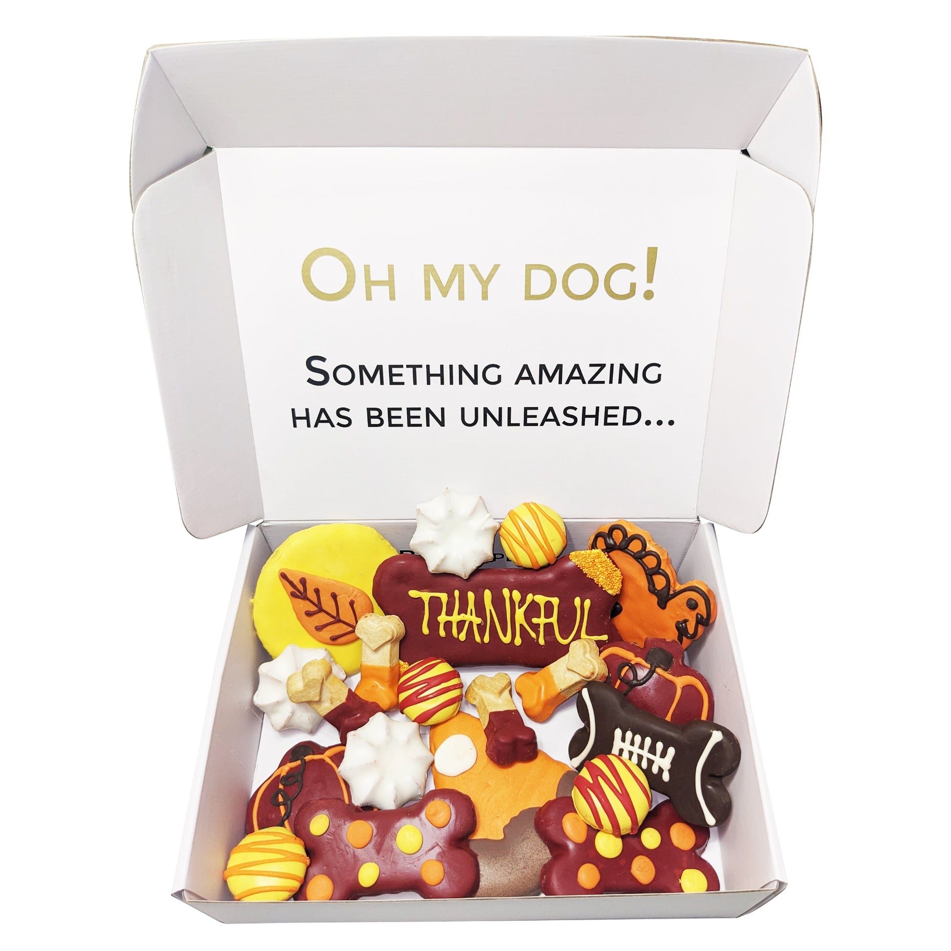 Dog Treats Thankful Themed Treats Gift Box for Daily Use - lifestyle product image for dog treats