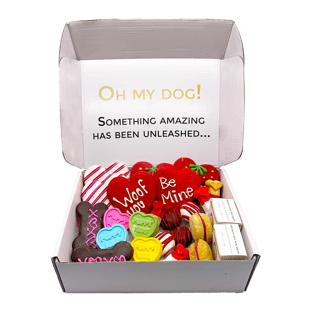 Dog Treats Love My Themed Treats Box for Daily Use Essential - lifestyle product image for dog treats