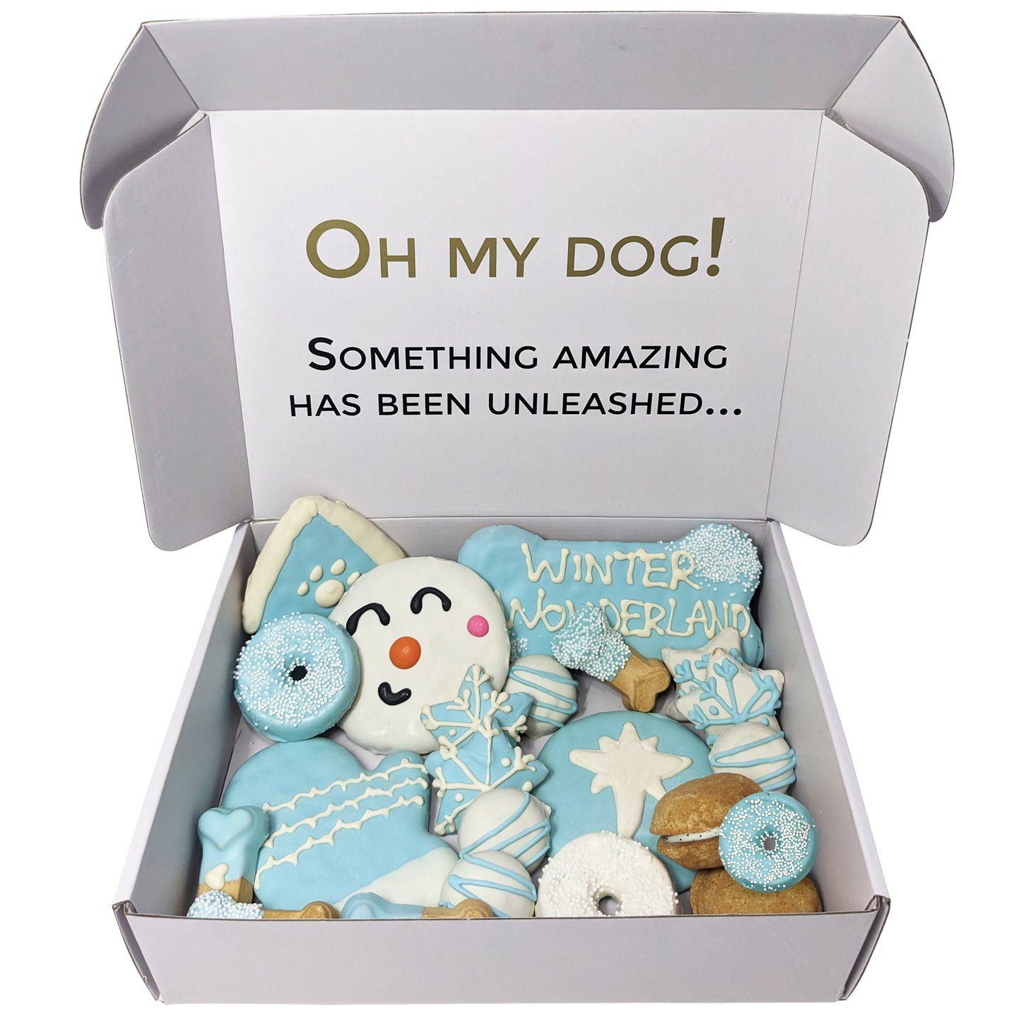 Dog Treats Winter Themed Treats Gift Box for Daily Use Essen - lifestyle product image for dog treats