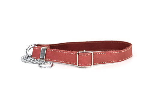 Dog Collar Martingale Coral Reef Leather Collar for Comfort - main product image for dog collar