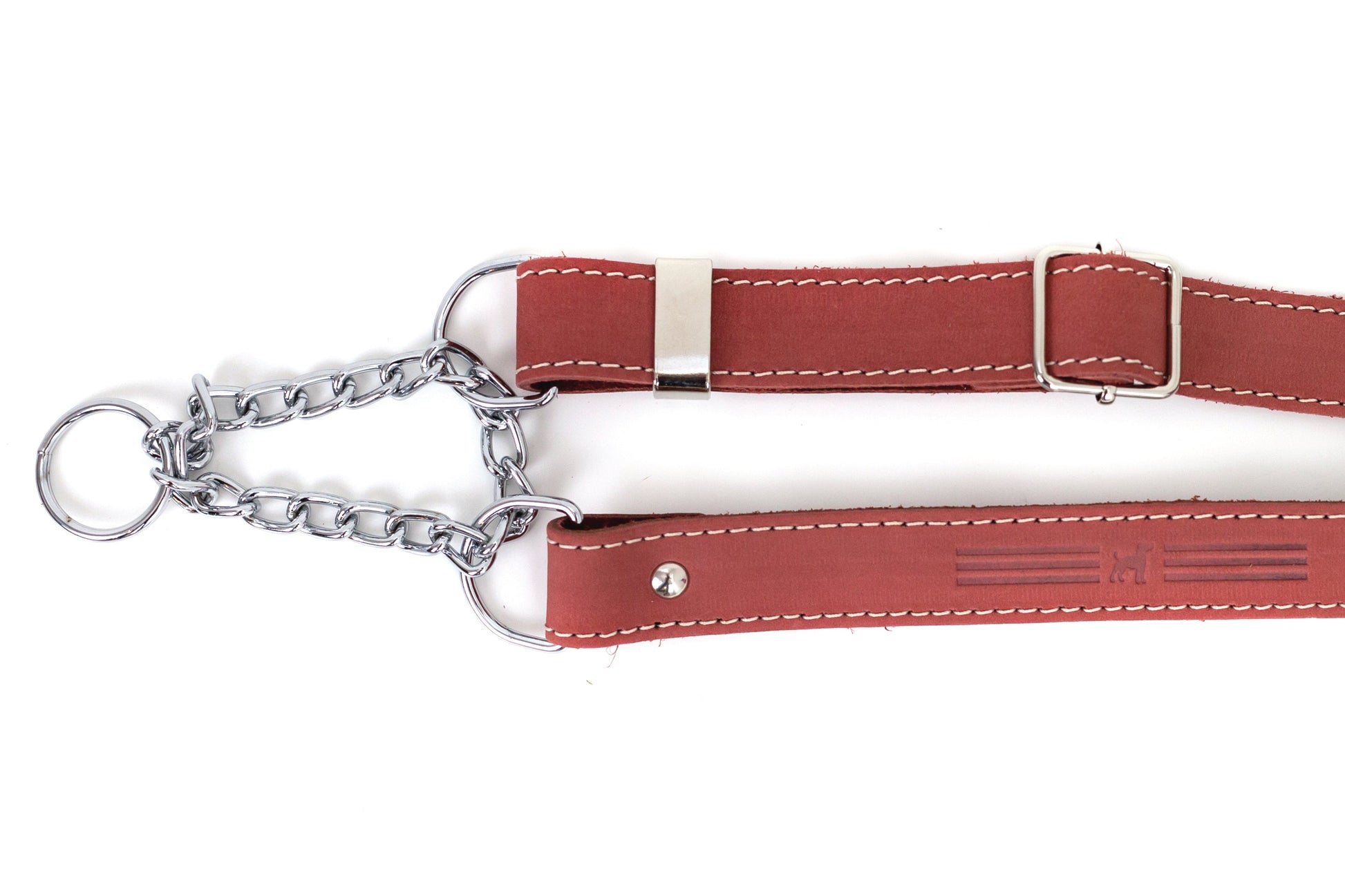 Dog Collar Martingale Coral Reef Leather Collar for Comfort - lifestyle product image for dog collar