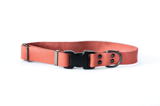Dog Collar Sport Style Coral Reef Leather Collar for Comfort - main product image for dog collar