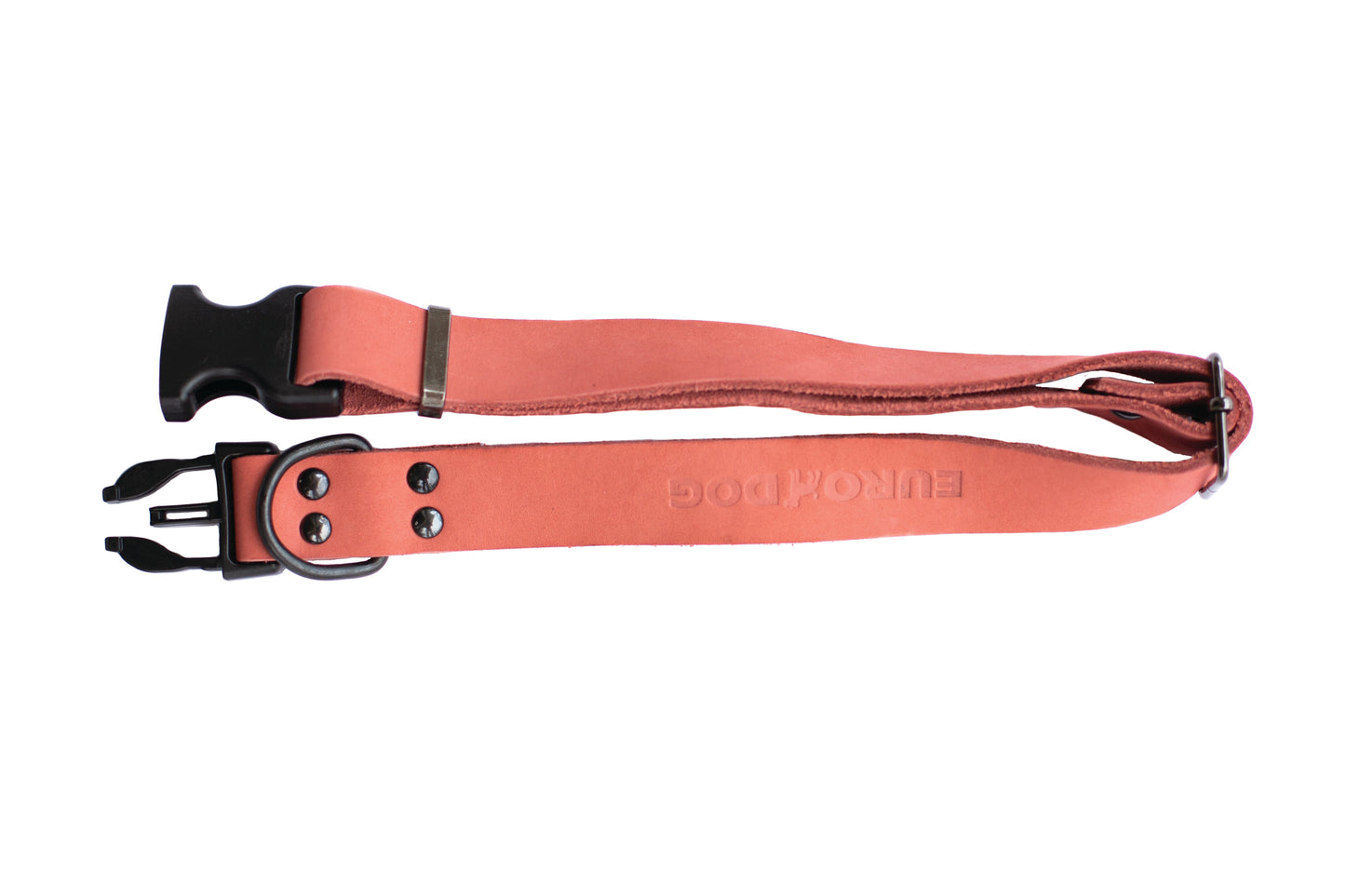 Dog Collar Sport Style Coral Reef Leather Collar for Comfort - lifestyle product image for dog collar