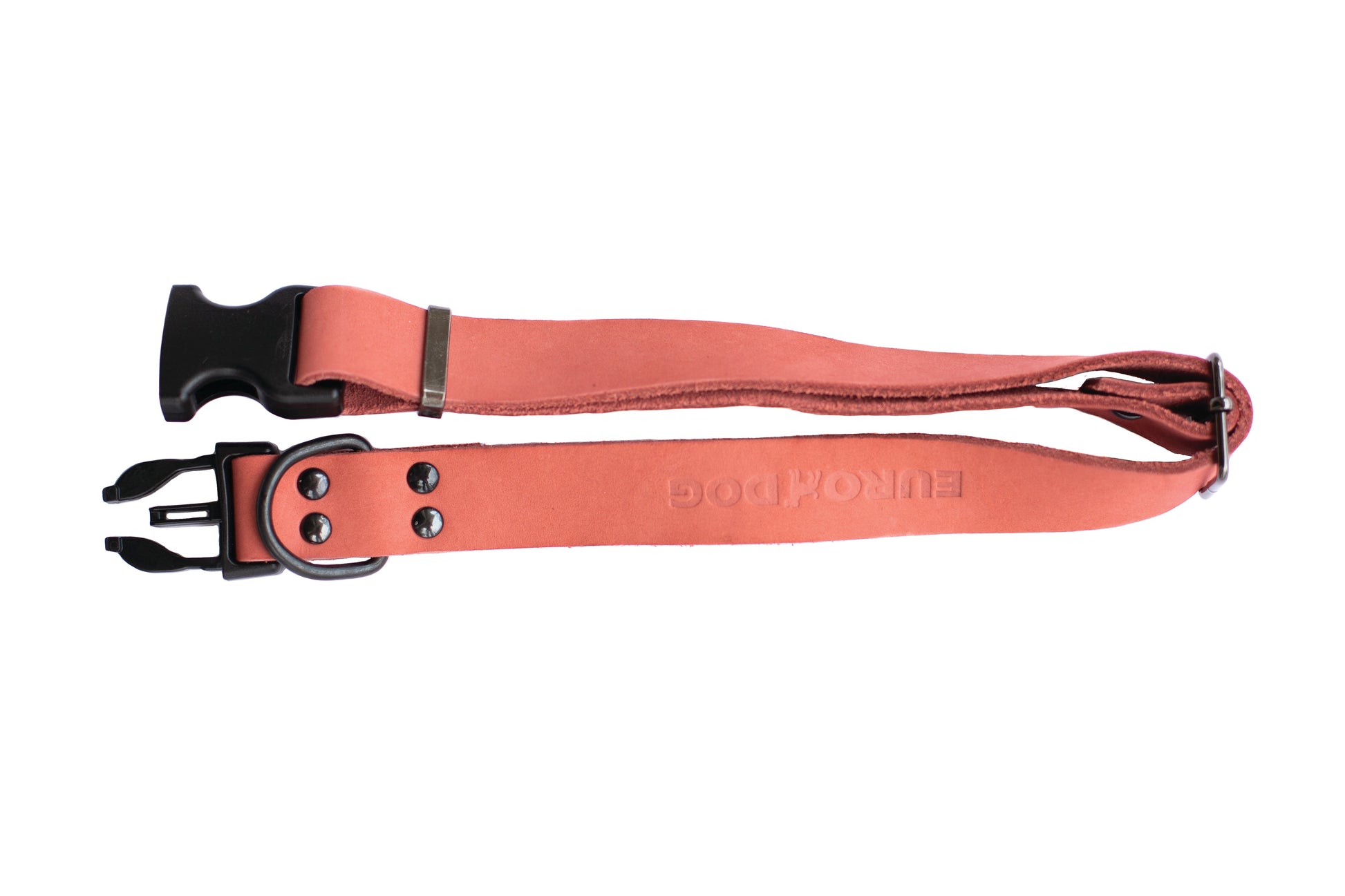 Dog Collar Sport Style Coral Reef Leather Collar for Comfort - lifestyle product image for dog collar