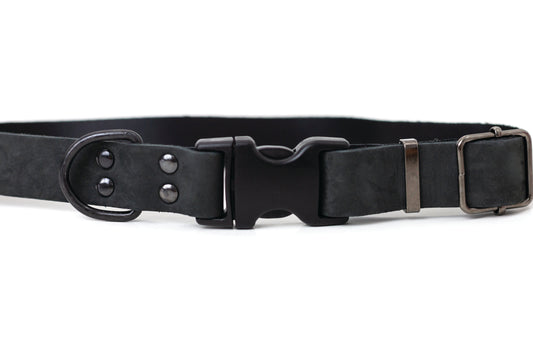 Dog Collar Sport Style Midnight Black Leather Collar Essenti - detail product image for dog collar