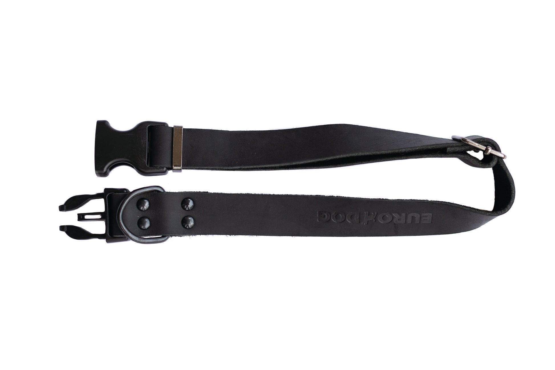 Dog Collar Sport Style Midnight Black Leather Collar Essenti - lifestyle product image for dog collar