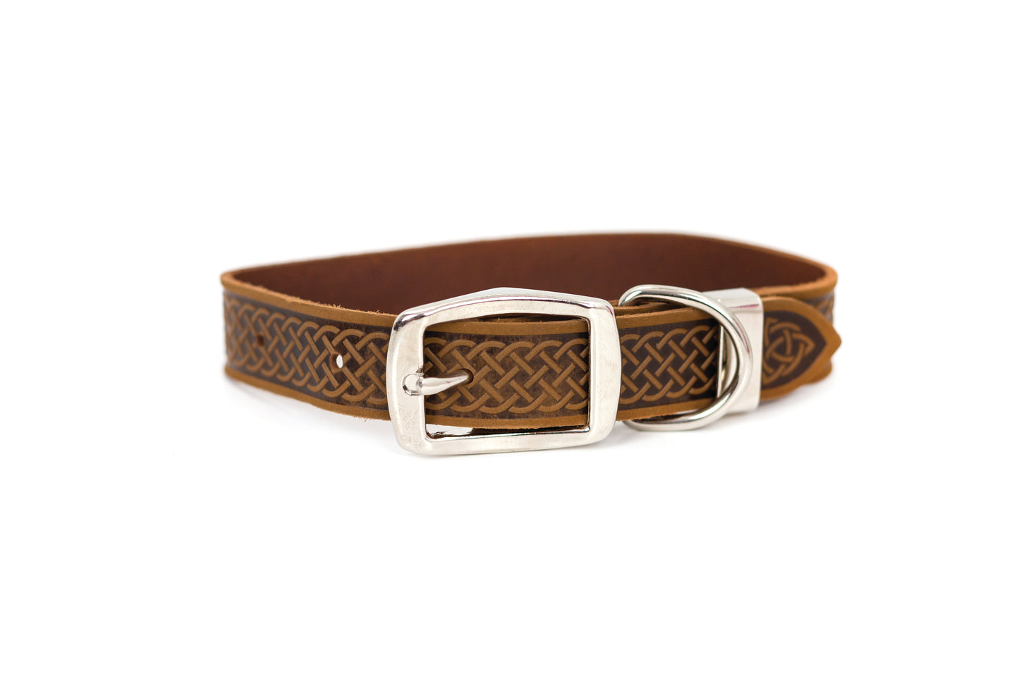 Dog Collar Celtic Double Buckle Style Leather Collar Essenti - lifestyle product image for dog collar