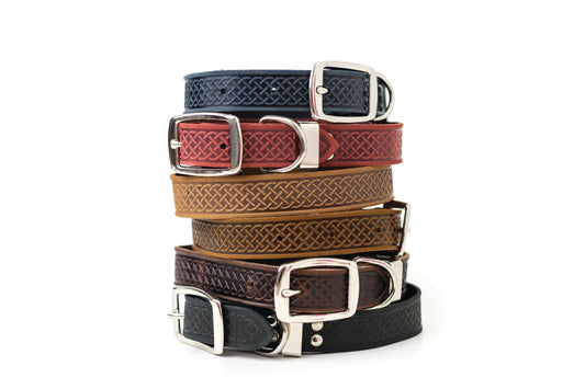 Dog Collar Celtic Double Buckle Style Leather Collar Essenti - main product image for dog collar