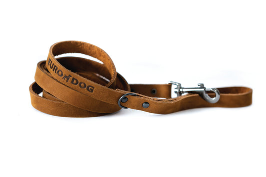 Dog Collar Sport Style Earth Brown Leather Leash for Comfort main product image for dogs and cats
