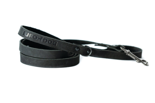 Dog Collar Sport Style Midnight Black Leather Leash main product image for dogs and cats
