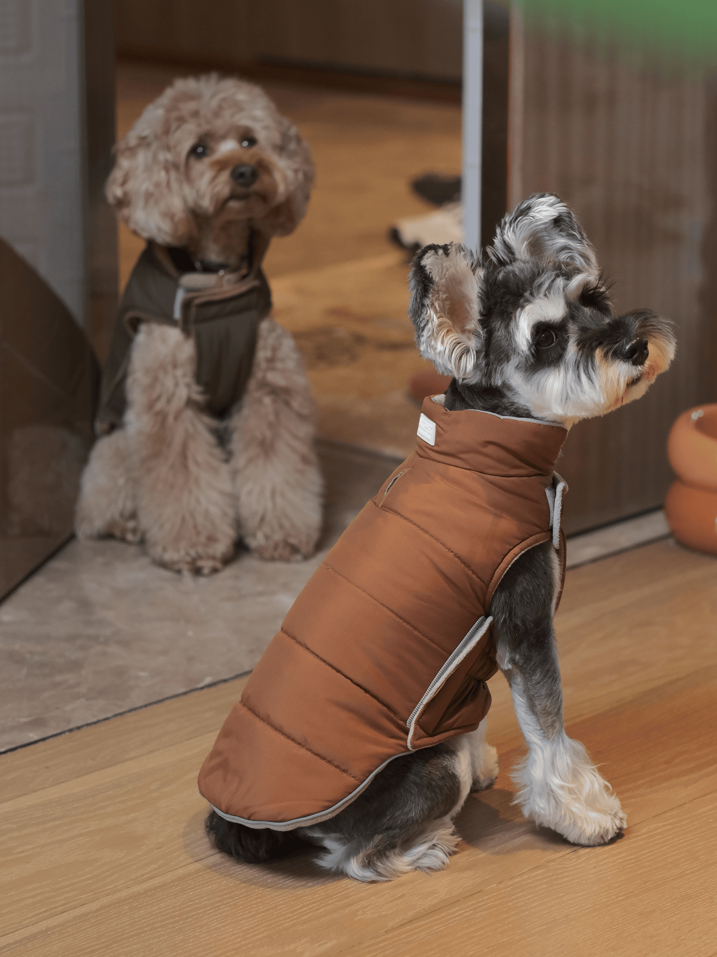 Dog Apparel Active Outdoor Wear Adjustable Grey Comfort - gallery image 5