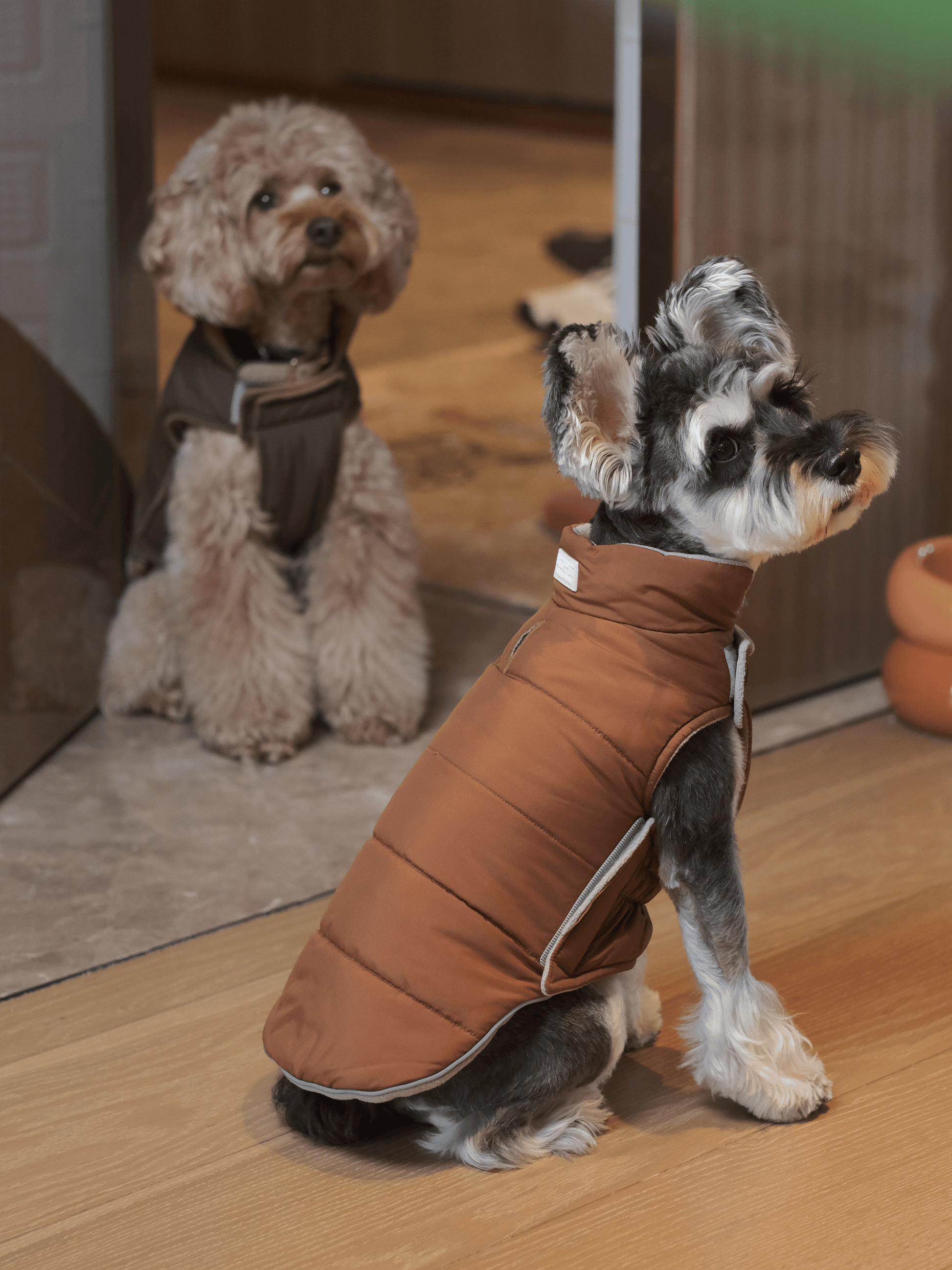 Dog Apparel Active Outdoor Wear Adjustable Grey Comfort - gallery image 5