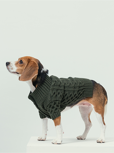 Bert Cardigan Sweater Dark Green Dog Apparel Premium Pet - lifestyle view