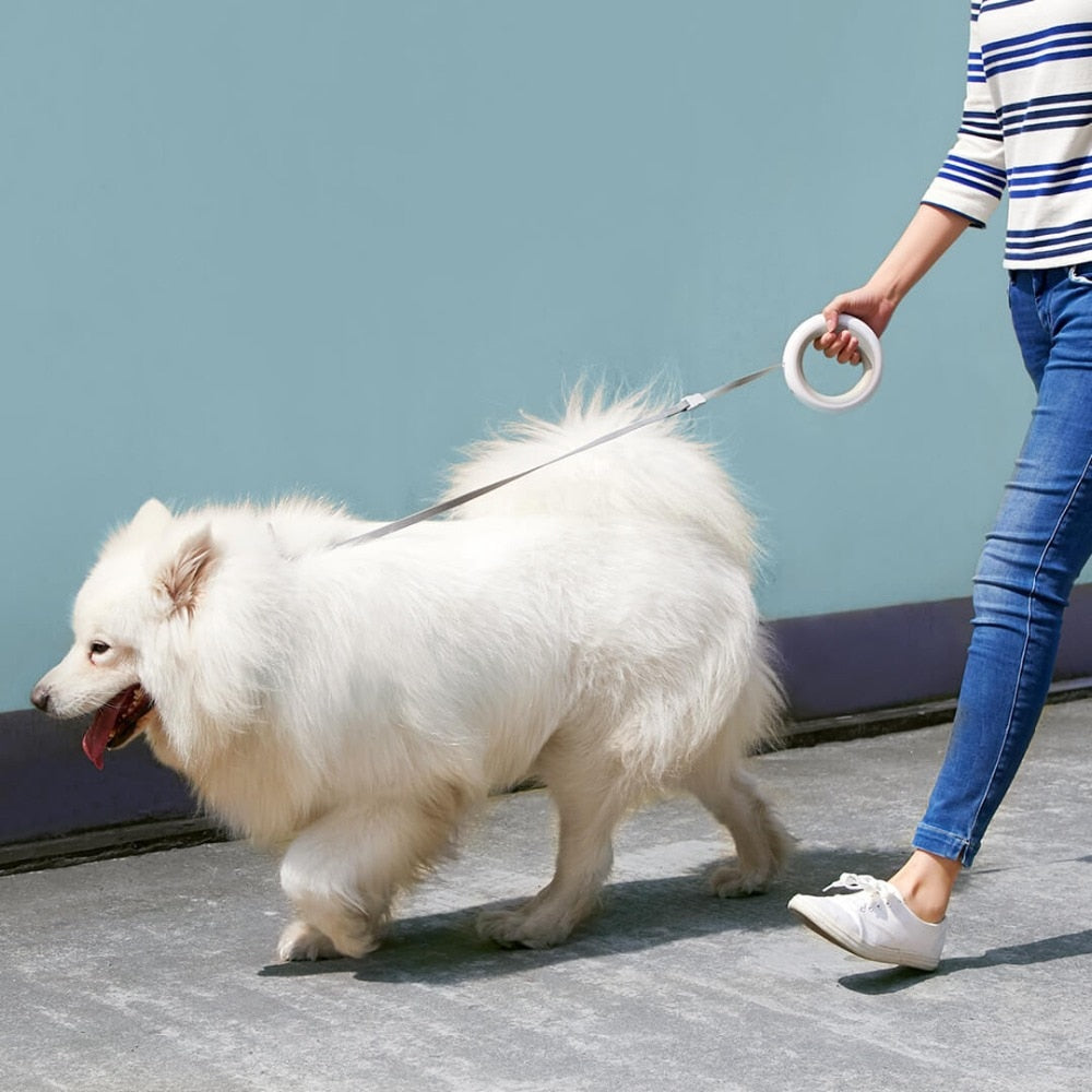 Smart Remote Moestar Retractable Dog Ring Led Lighting Puppy - lifestyle view