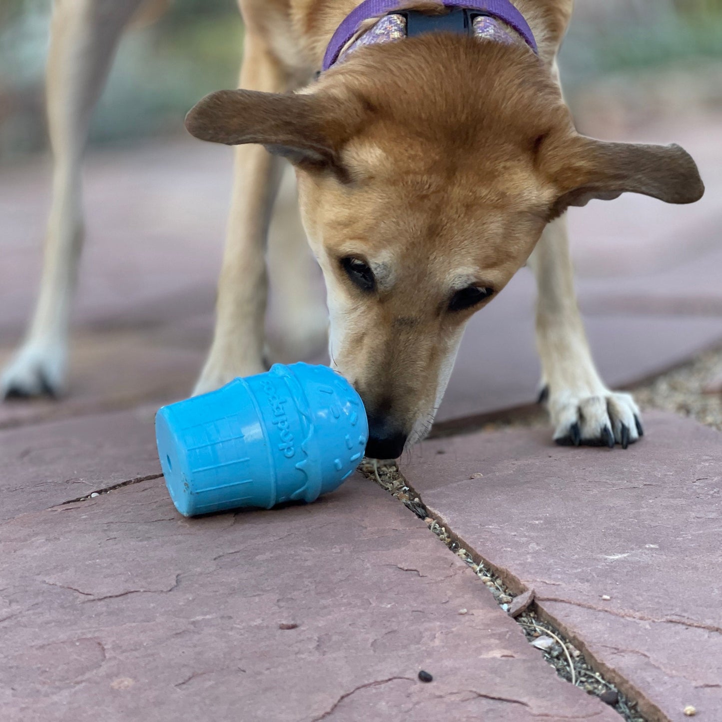 Ice Cream Cone Rubber Dog Chew Toy For Power Chewers USA Dog - gallery image 7