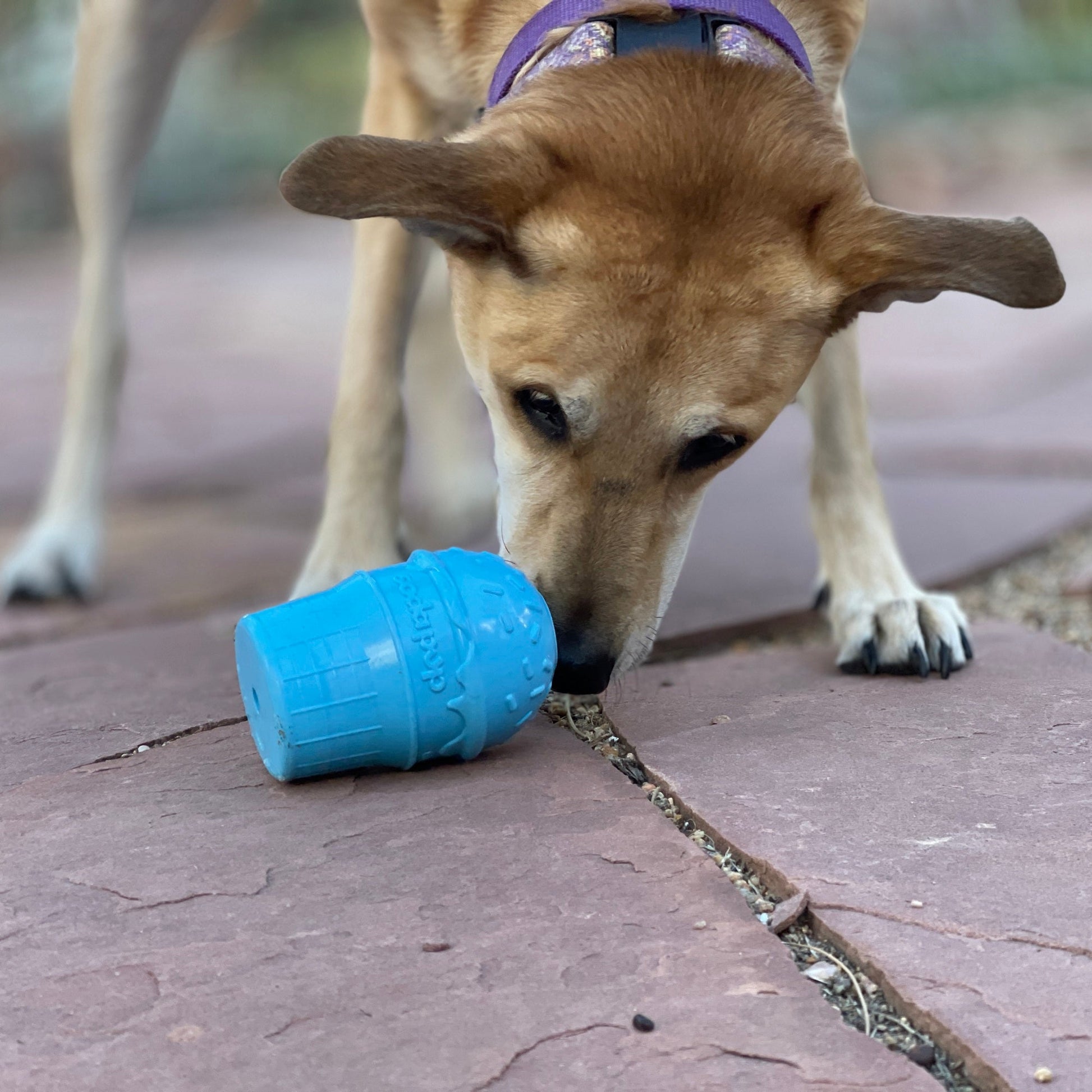 Ice Cream Cone Rubber Dog Chew Toy For Power Chewers USA Dog - gallery image 7