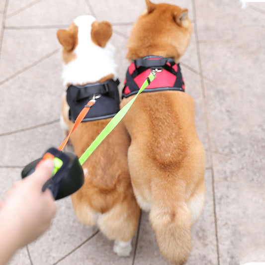 Retractable Dual Double Pet Rope Leash Tangle Free Walk For - detail view