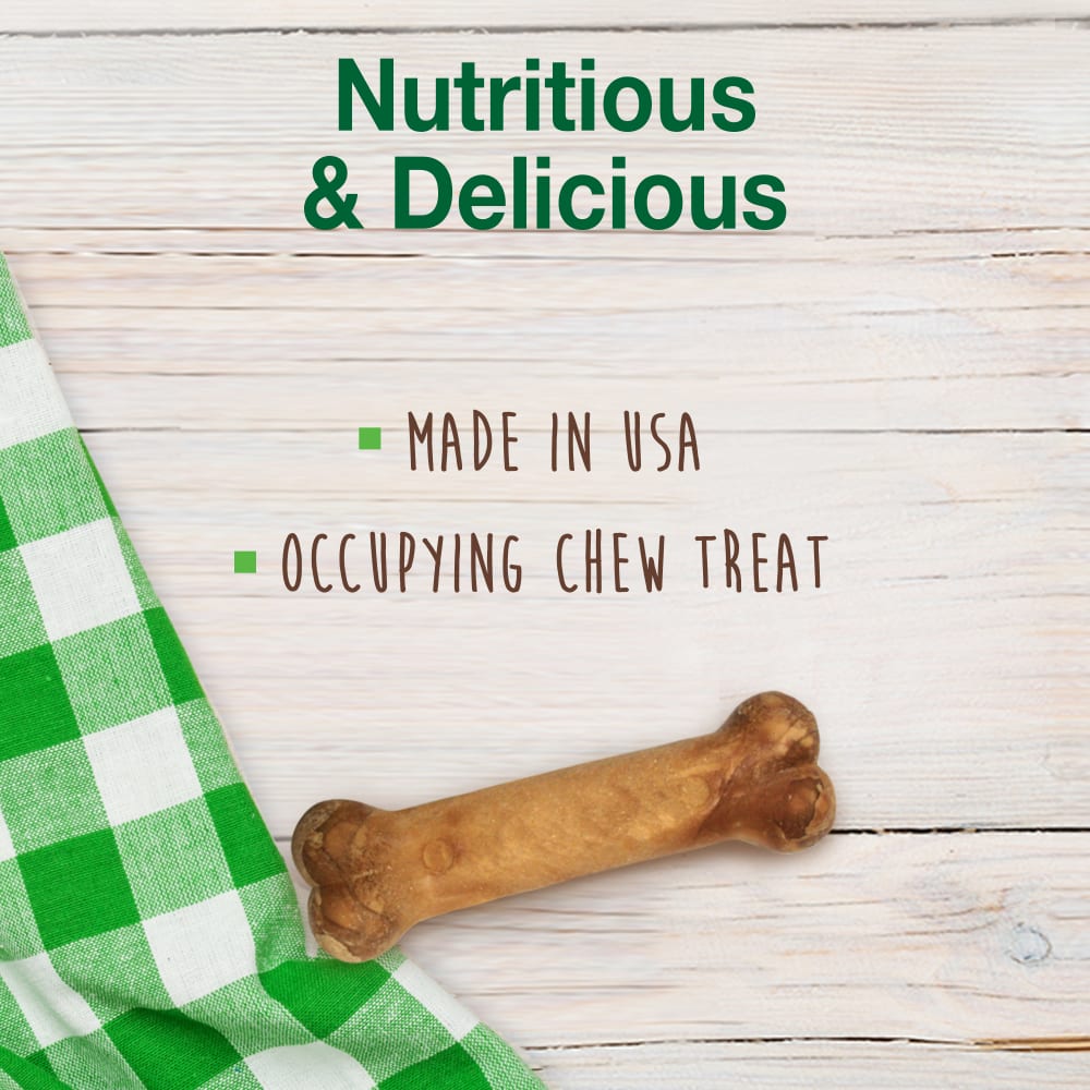 Nylabone Healthy Edibles All Natural Long Lasting Ro 79813 - detail view