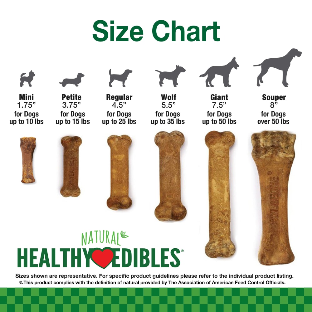Nylabone Healthy Edibles All Natural Long Lasting Ro 79813 - lifestyle view