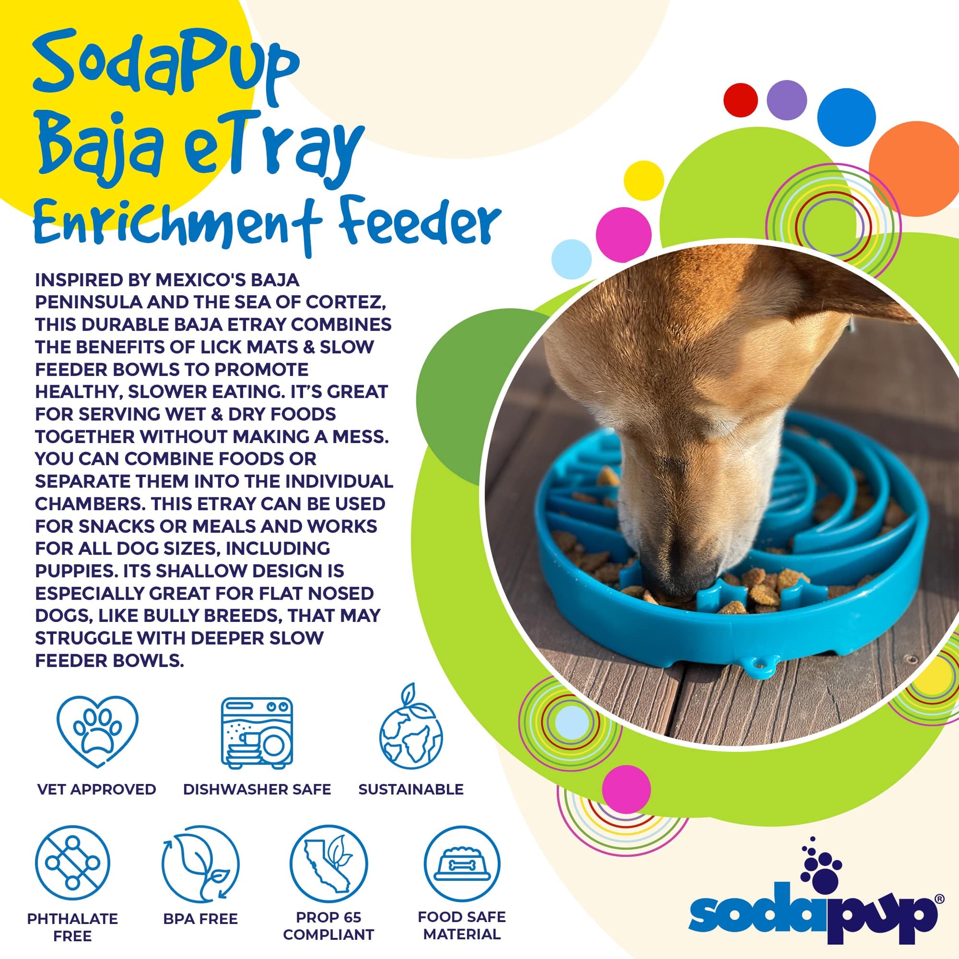 Baja Design eTray - Shallow Slow Feeder Dog Bowl for Enrichment | USA Made - lifestyle view | Slow Feeders at Purrfect Pet