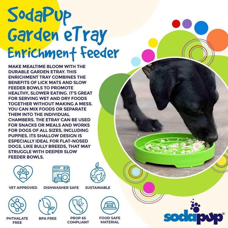 Garden Design Etray Shallow Slow Feeder Dog Bowl For USA Pet - lifestyle view
