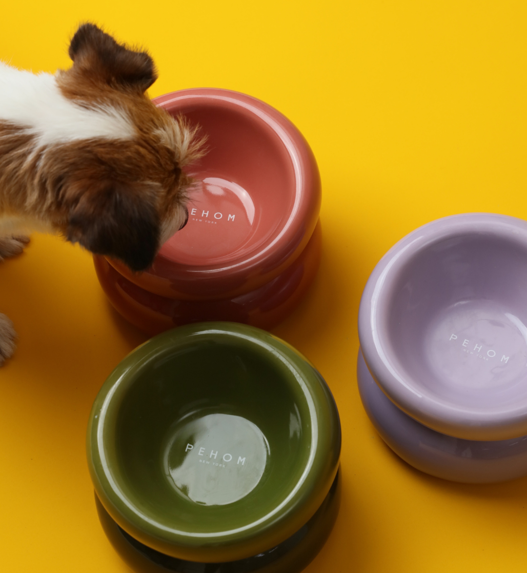 Pet Feeders & Bowls Adjustable Purple Premium Pet Supply - gallery image 6