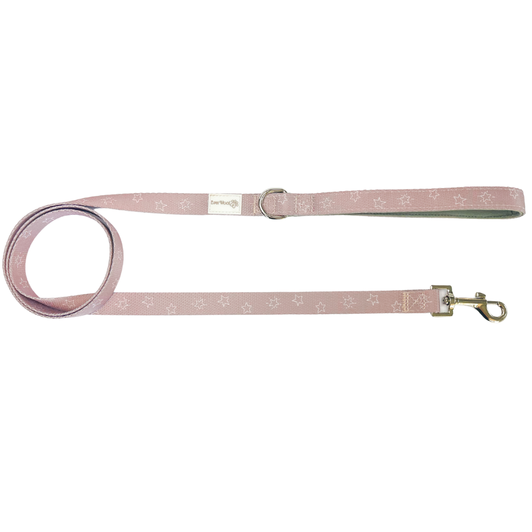 Pet Leash Asteria Leash for Daily Use for Comfort Essential - main product image for pet leash