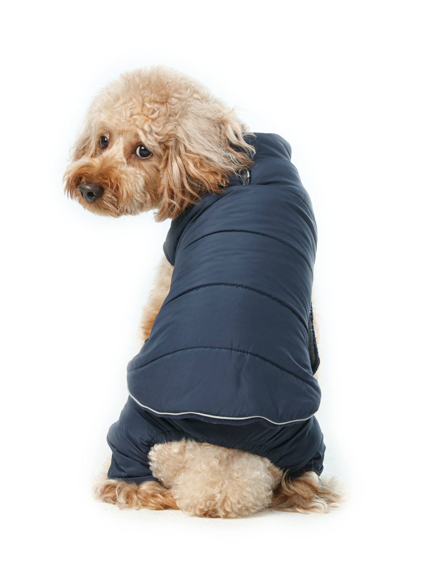 Reversible Dog Vest Jacket Blue Dog Apparel Premium Pet - lifestyle view