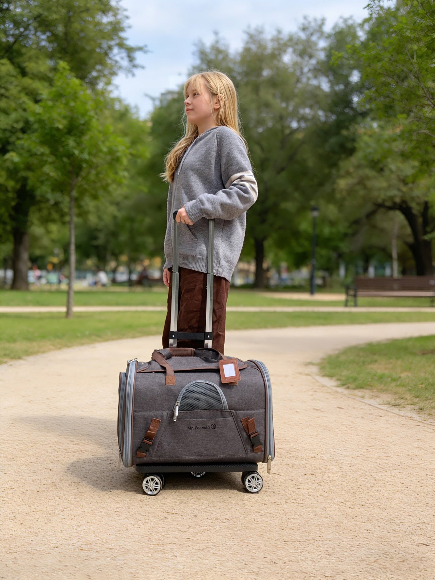 Mr. Peanut's Gold Series Standard Size Airline Compliant Pet Carrier V3.0 - gallery image 9