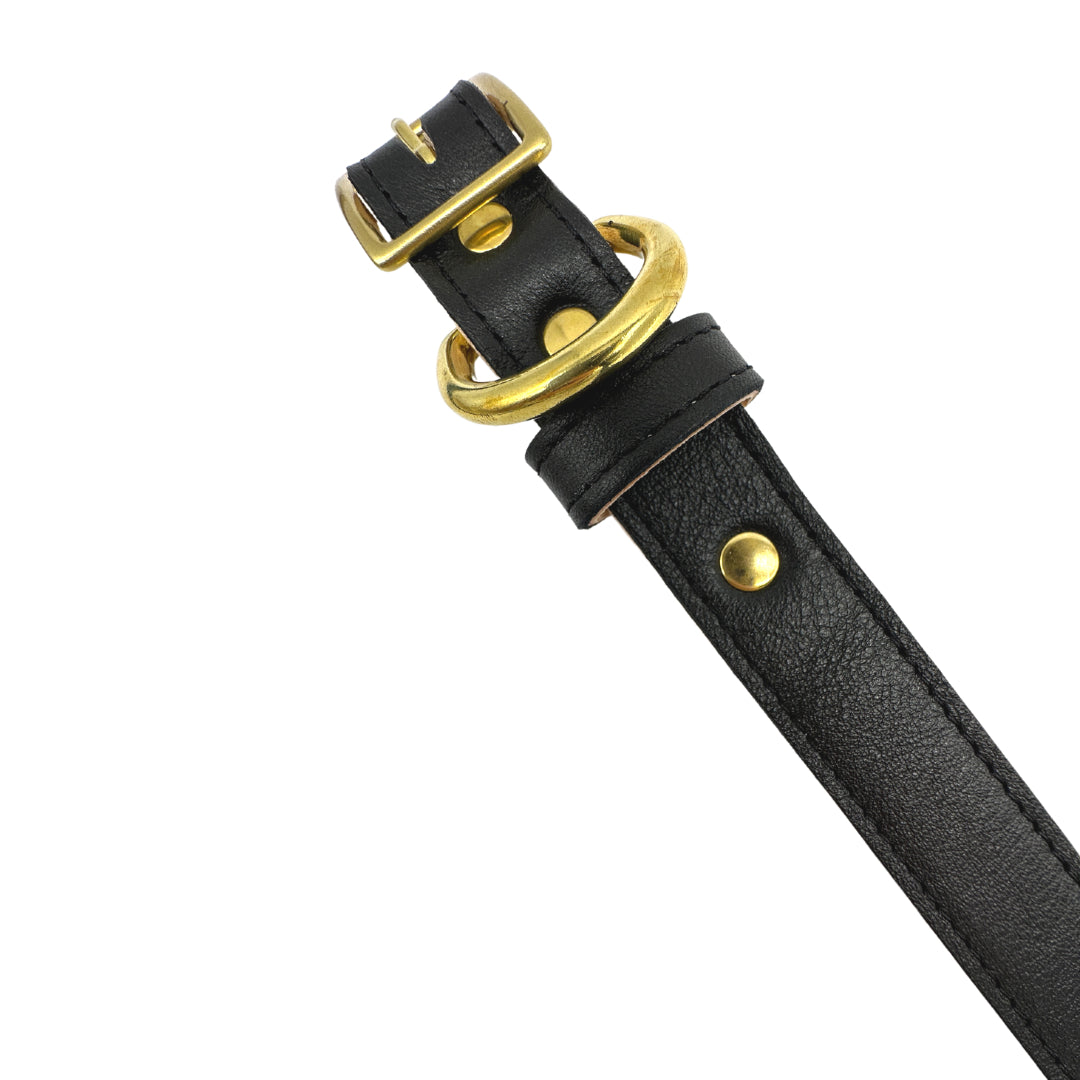 Dog Collar Plain Leather Collar for Daily Use for Comfort - close up product image for dog collar