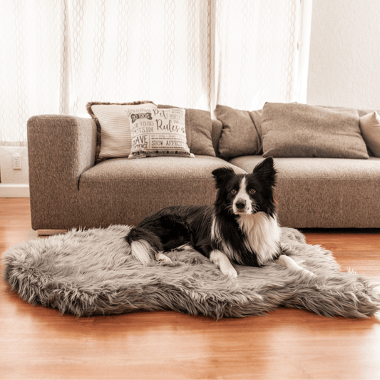 Memory Foam Dog Bed Faux Fur Charcoal Grey Orthopedic Comfor - main product image