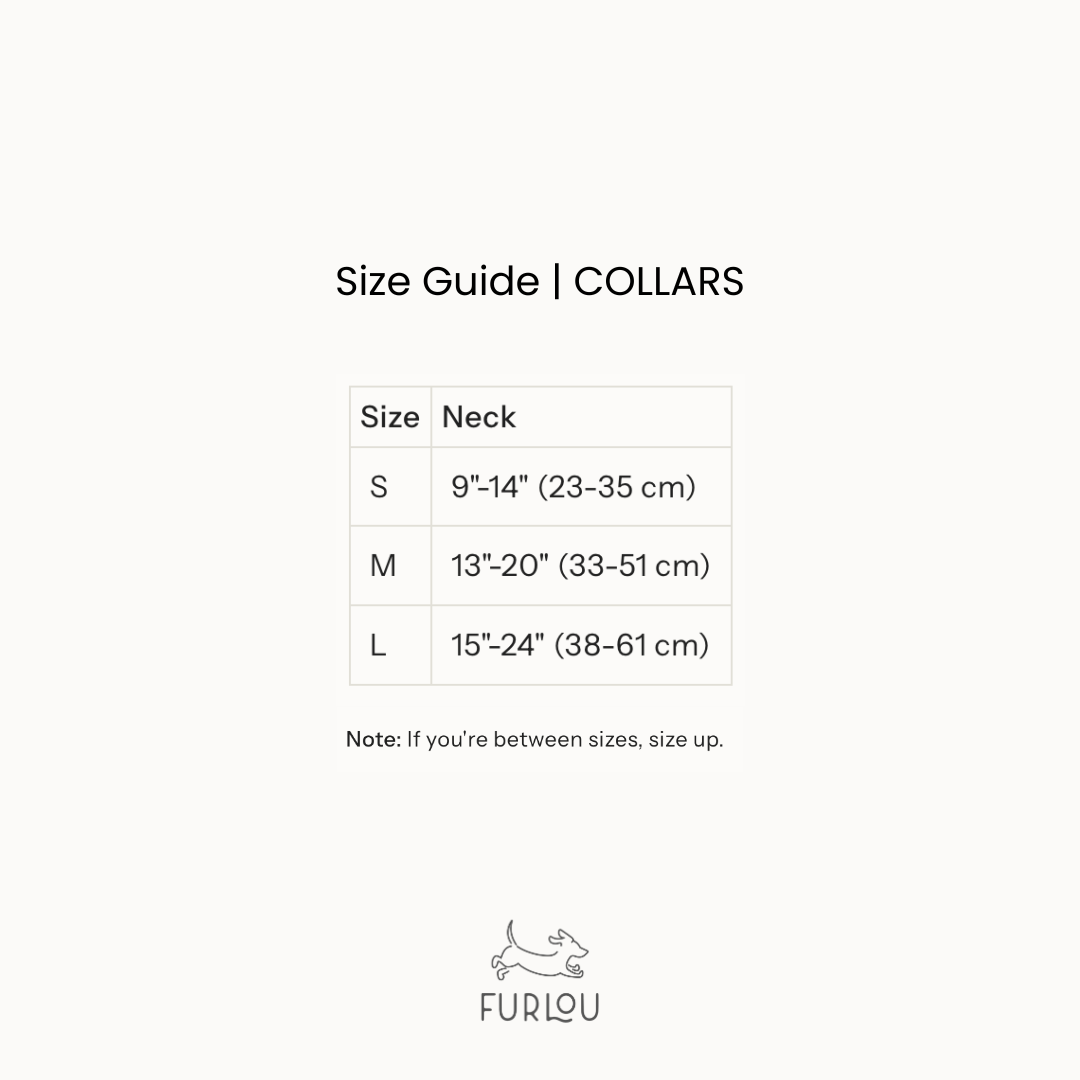 Dog Collars 'Green' Velvet Dog Collar Premium Pet Supply - lifestyle view