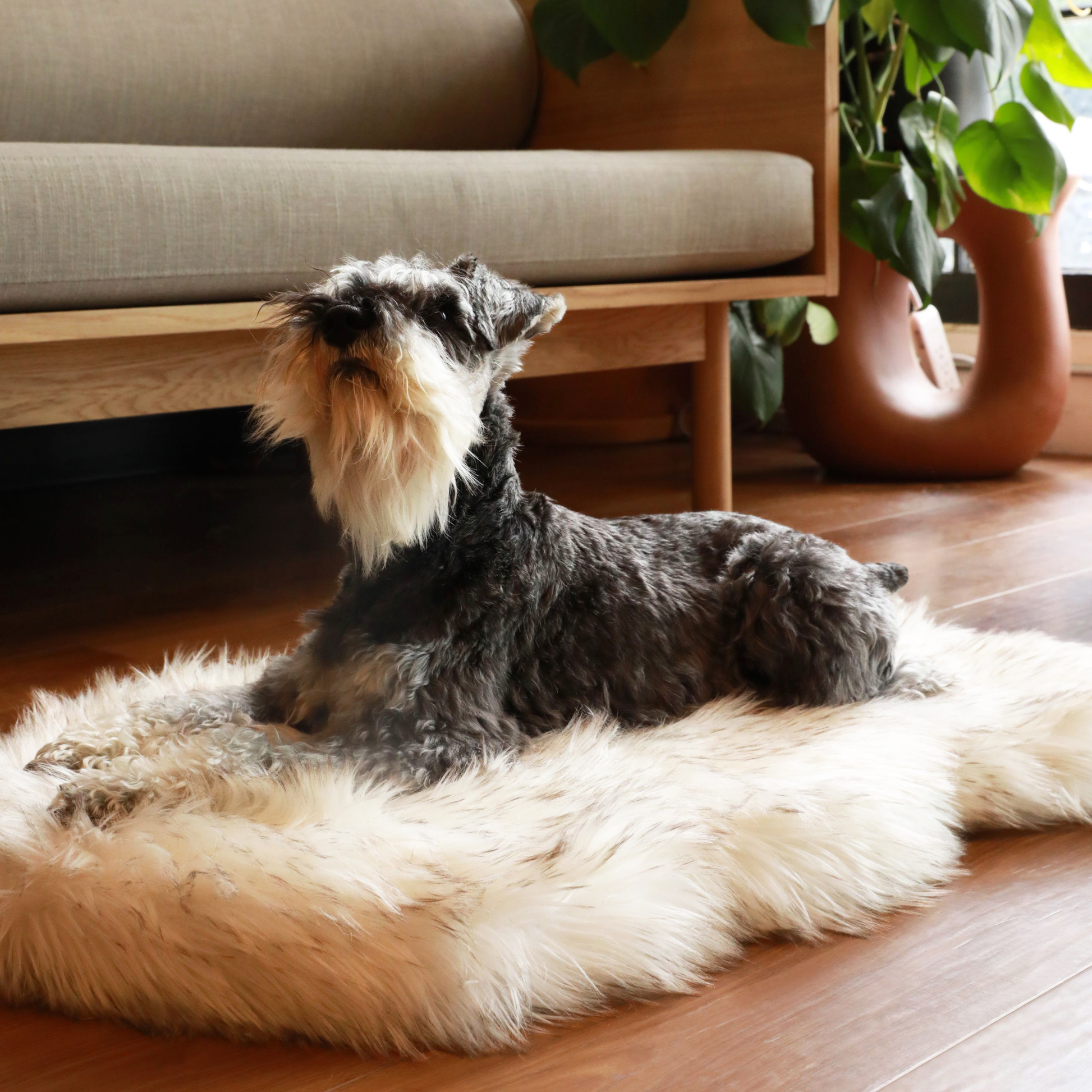 Puprug By Faux Fur Orthopedic Dog Bed Curve White - gallery image 8