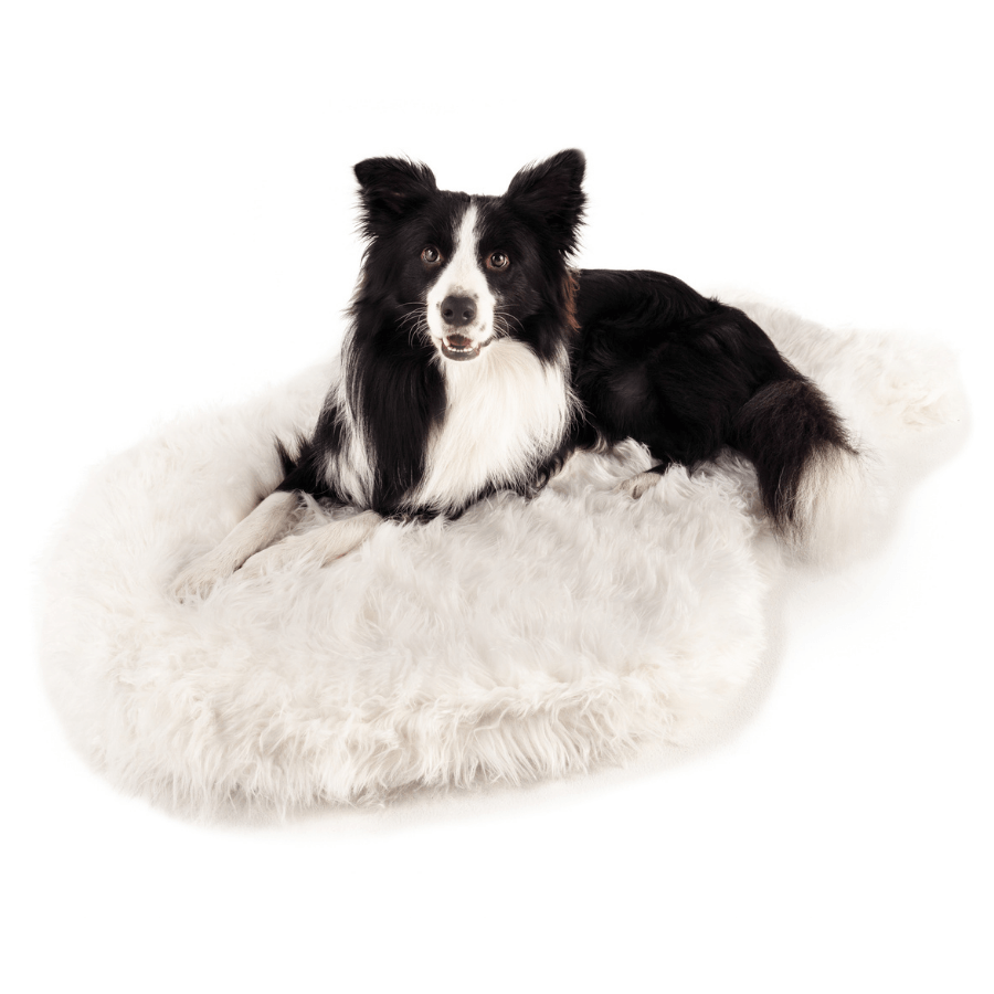 Memory Foam Dog Bed Faux Fur Polar White Orthopedic Comfort - lifestyle view