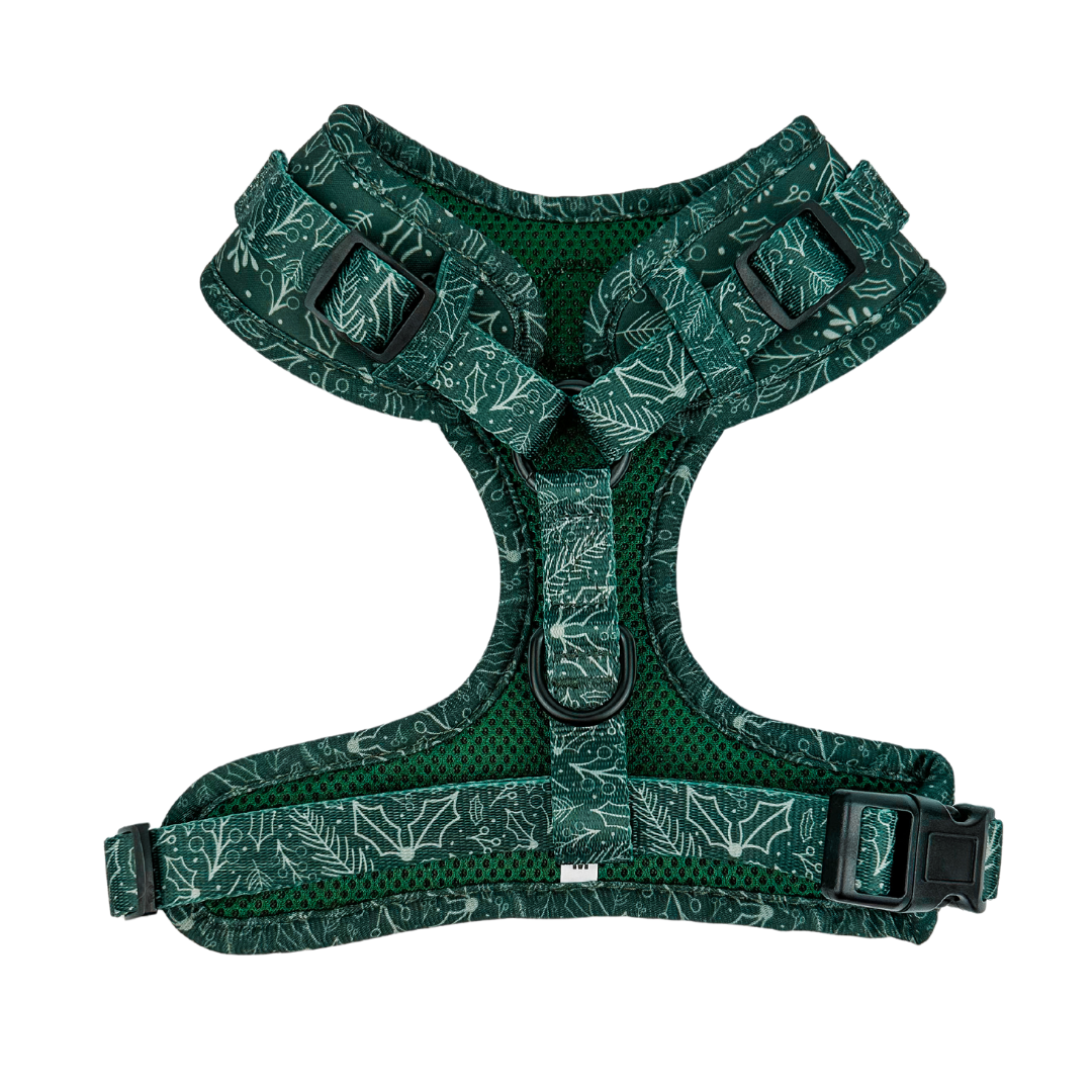 Pet Harness Harness Evergreen Dream Adjustable Harness Essen - detail product image for pet harness