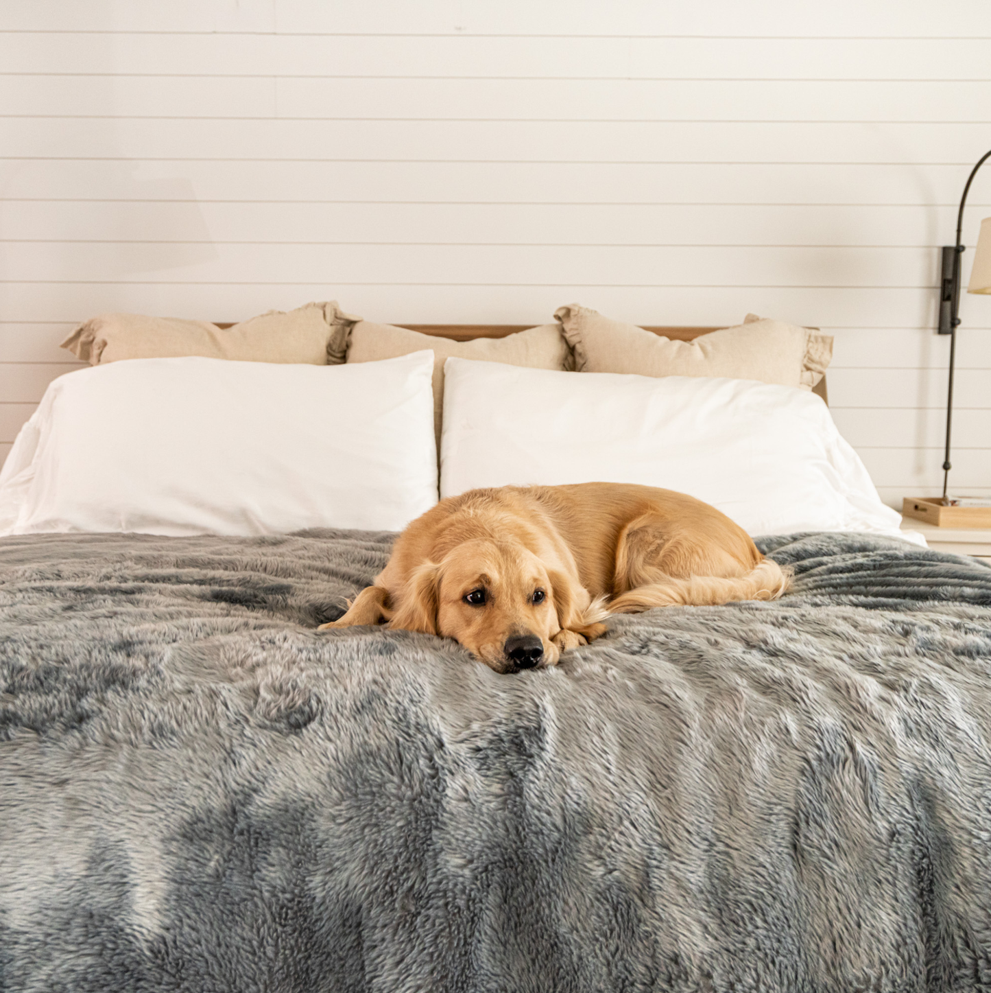 Pupprotector Summer Short Fur Waterproof Throw Blanket Grey - gallery image 12