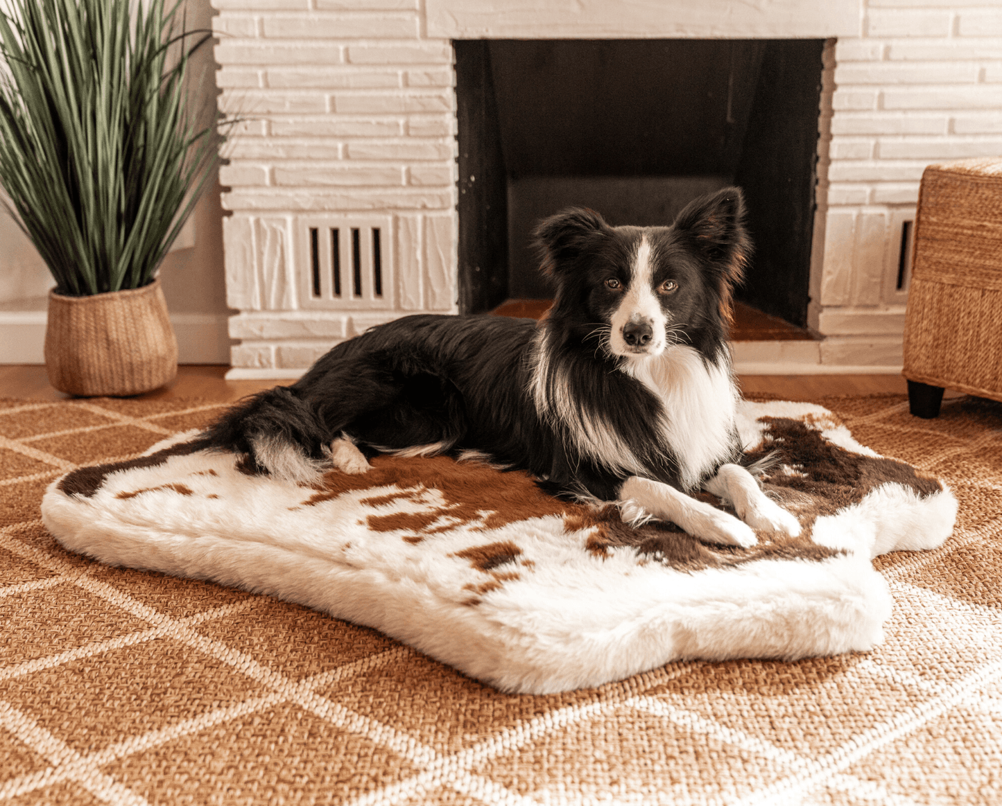 Memory Foam Dog Bed Faux Fur Brown Orthopedic Comfort Premiu - gallery image 11