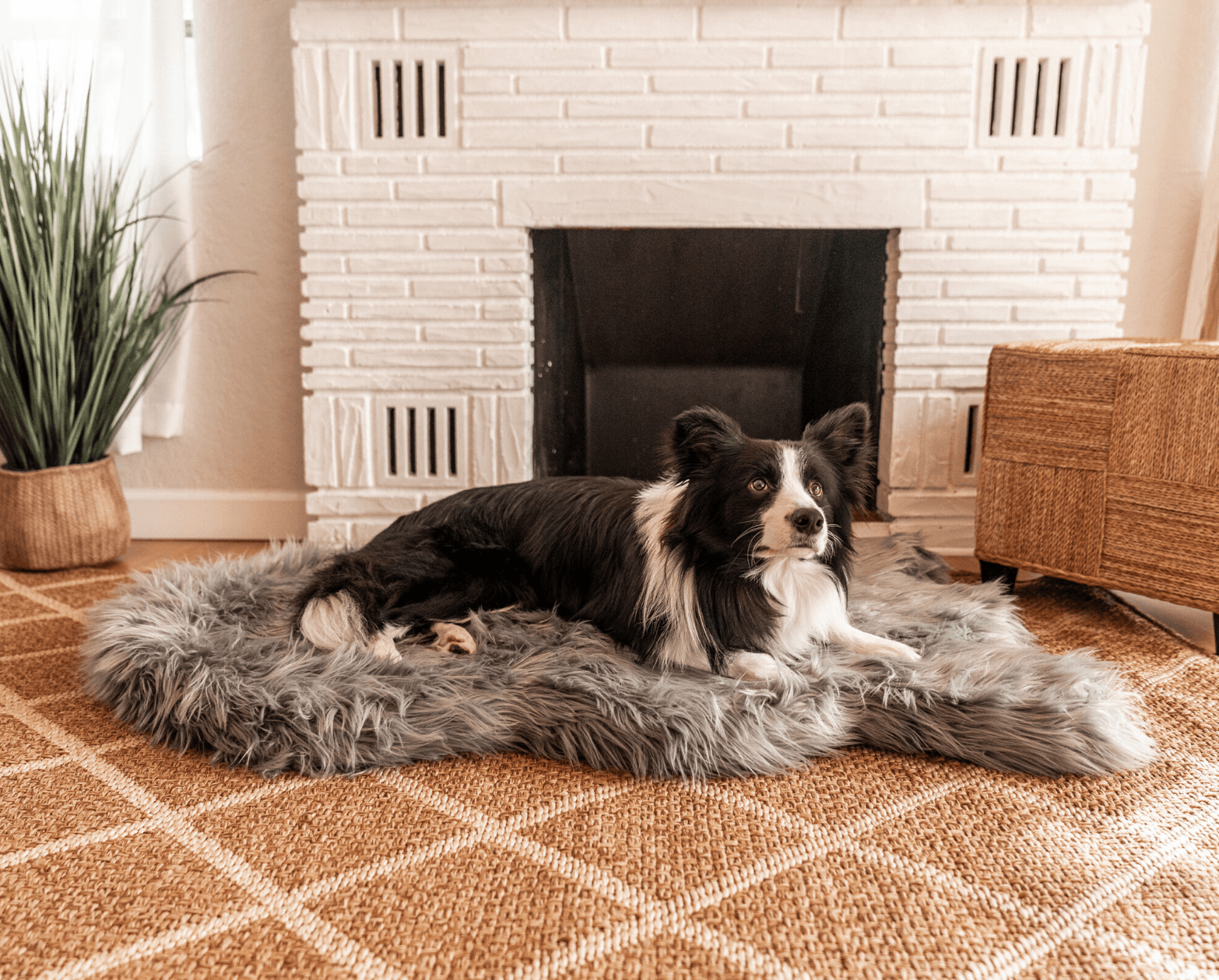 Memory Foam Dog Bed Faux Fur Charcoal Grey Orthopedic Comfor - gallery image 5