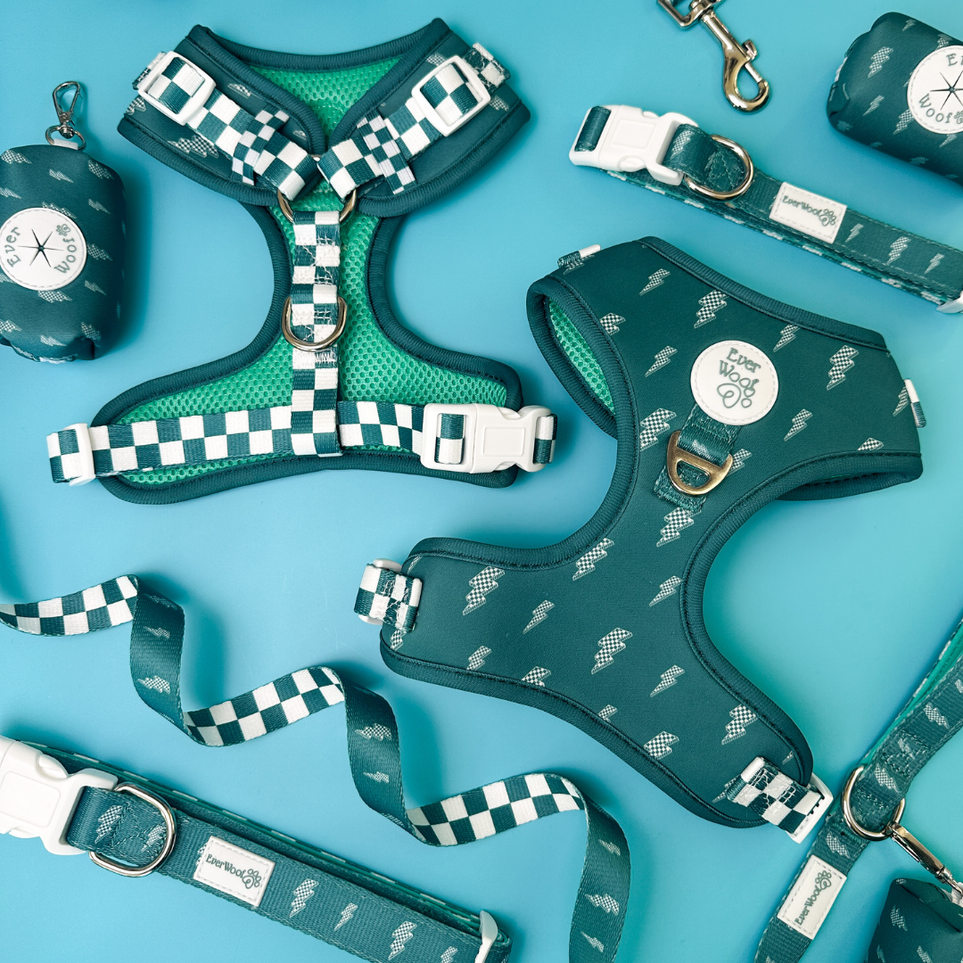 Pet Harness Harness Thunderstruck Adjustable Harness Essenti - lifestyle product image for pet harness