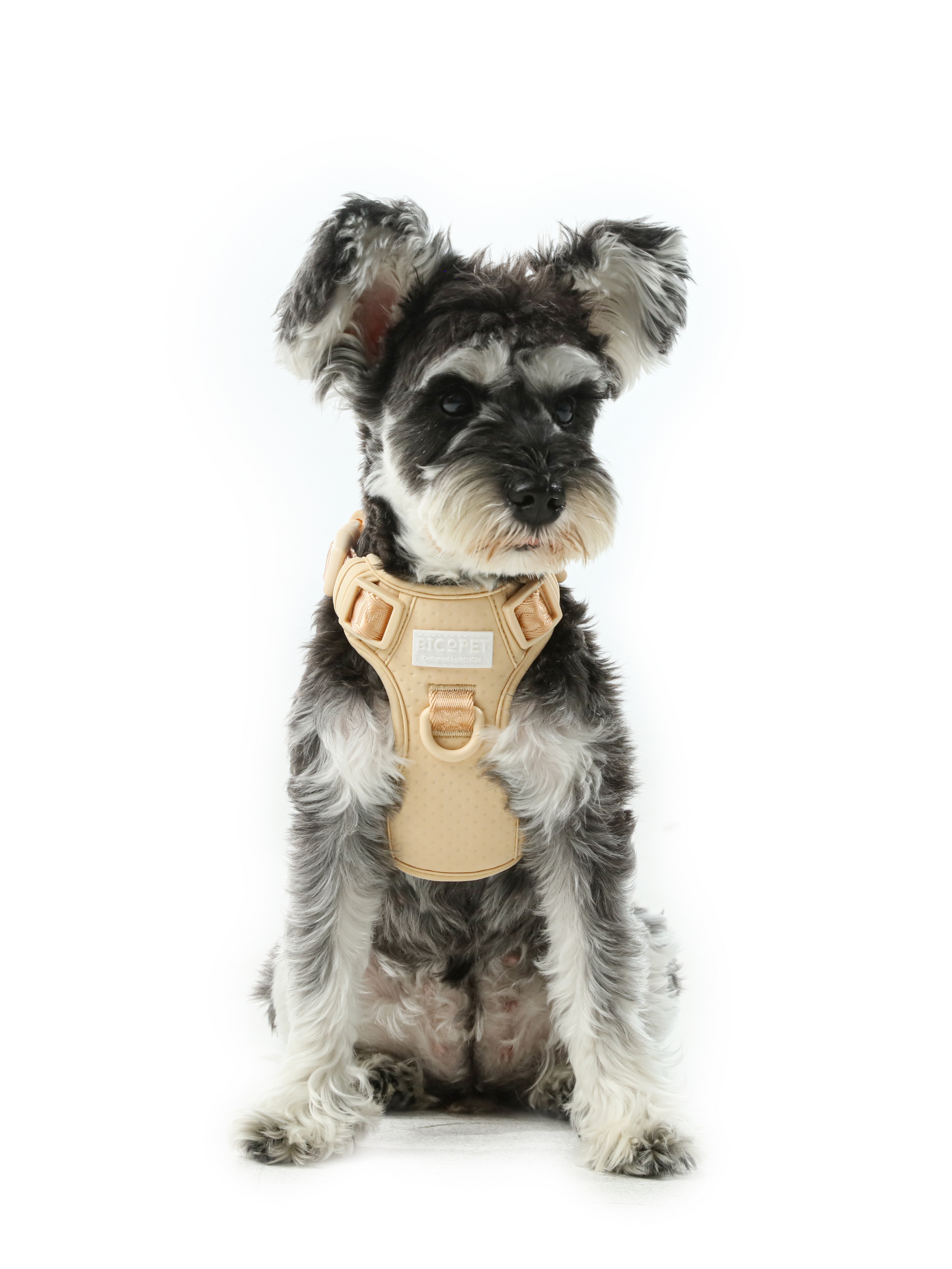Dog Harness No Pull Active Fit Adjustable APRICOT Walking - main product image