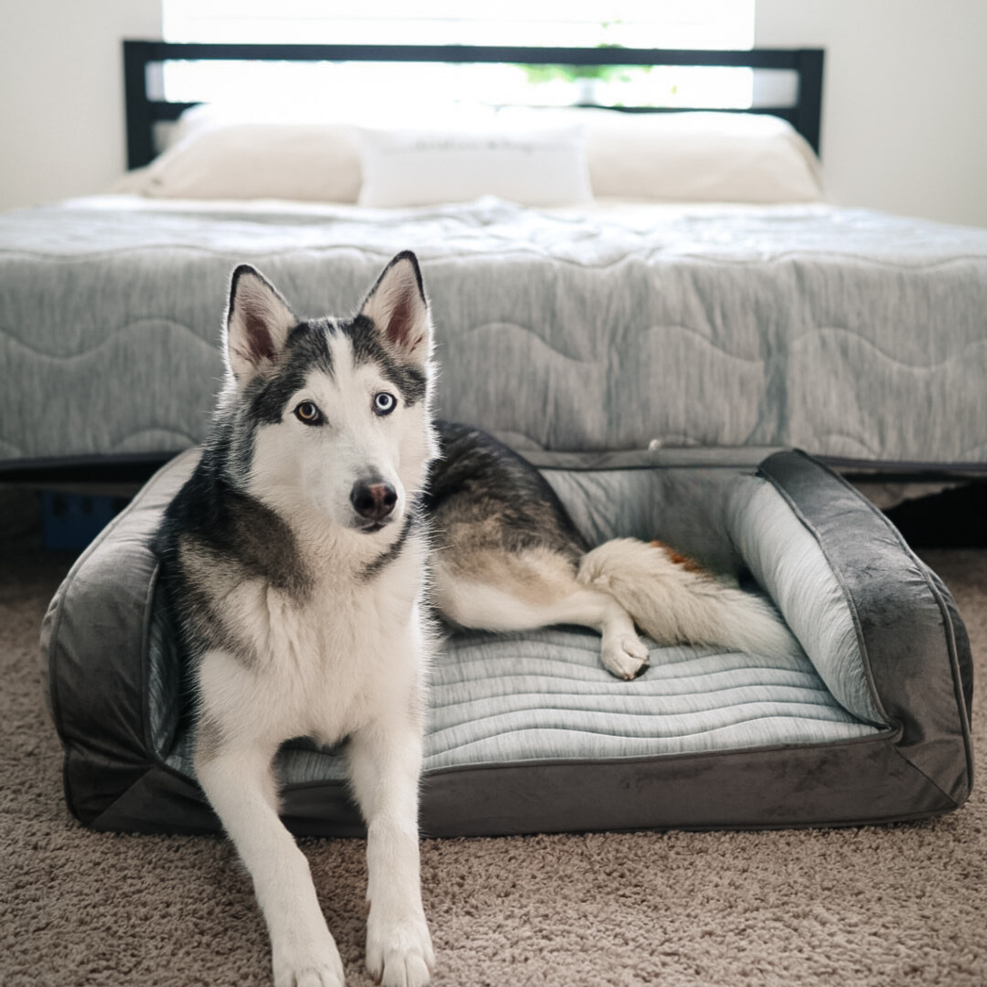 Pupchill Cooling Bolster Dog Bed Waterproof Blanket Bundle - close up view