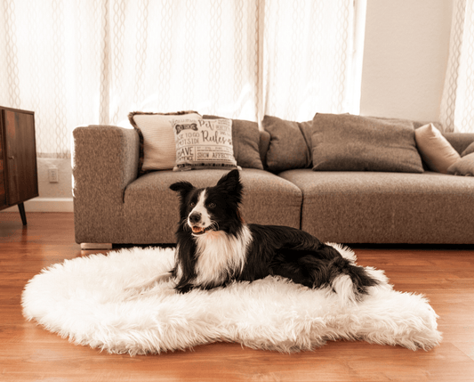 Memory Foam Dog Bed Faux Fur Polar White Orthopedic Comfort - main product image