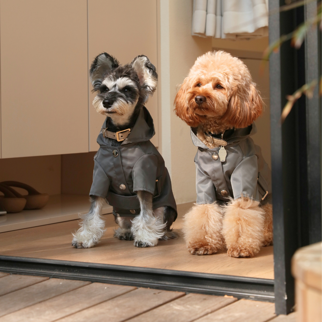 Dog Apparel Active Outdoor Wear Adjustable GRAY Comfort - gallery image 5