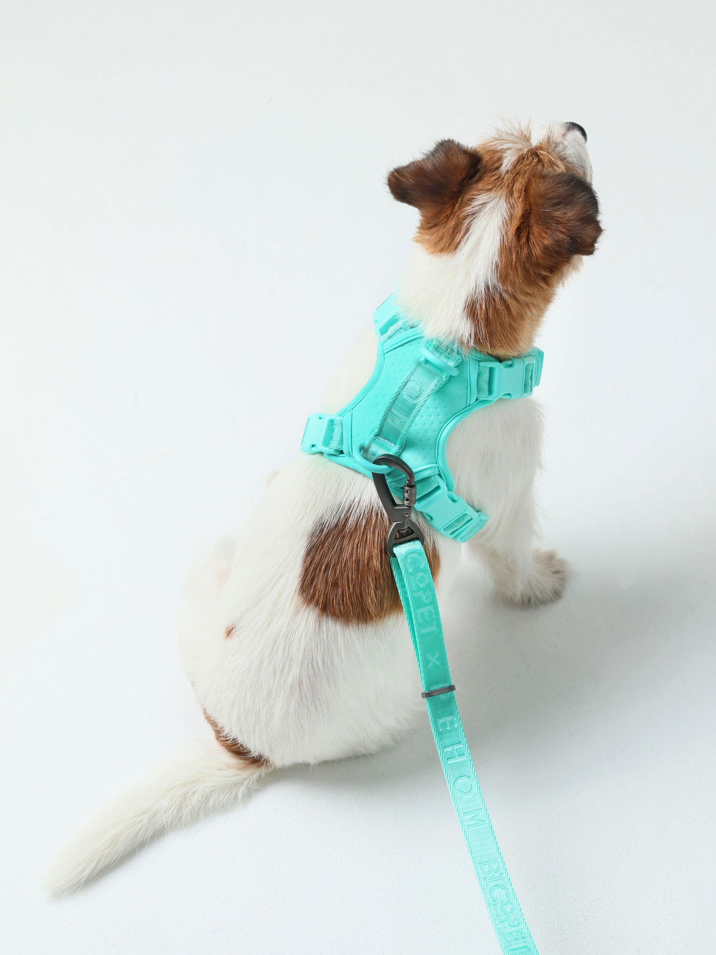 Dog Harness No Pull Active Fit Adjustable MINT GREEN Walking - detail view