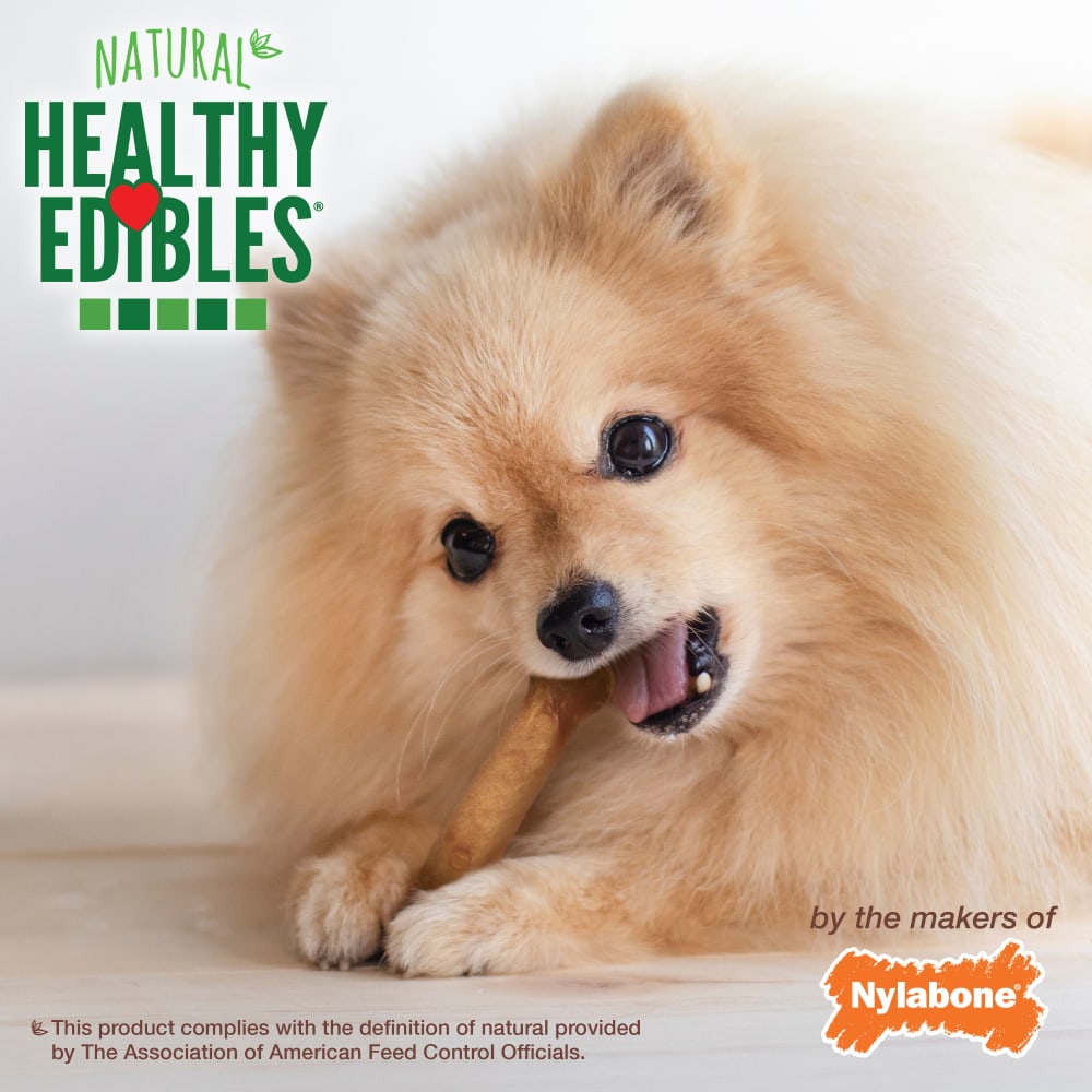 Dog Treats Nylabone Bacon Chews 6.7oz Training Rewards Premi - gallery image 6