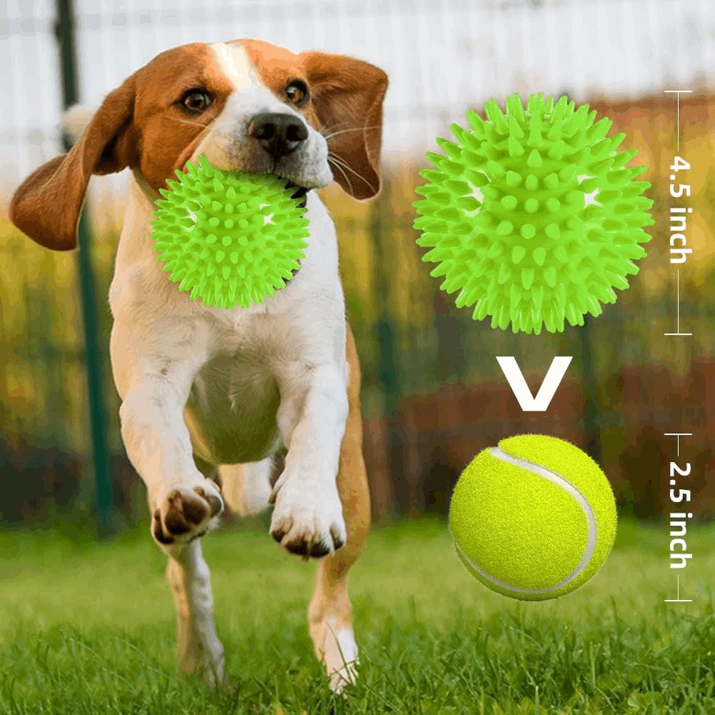 Dog Treats 2 5 Squeaky Interactive Dog Balls for Puppy Teeth - gallery image 12