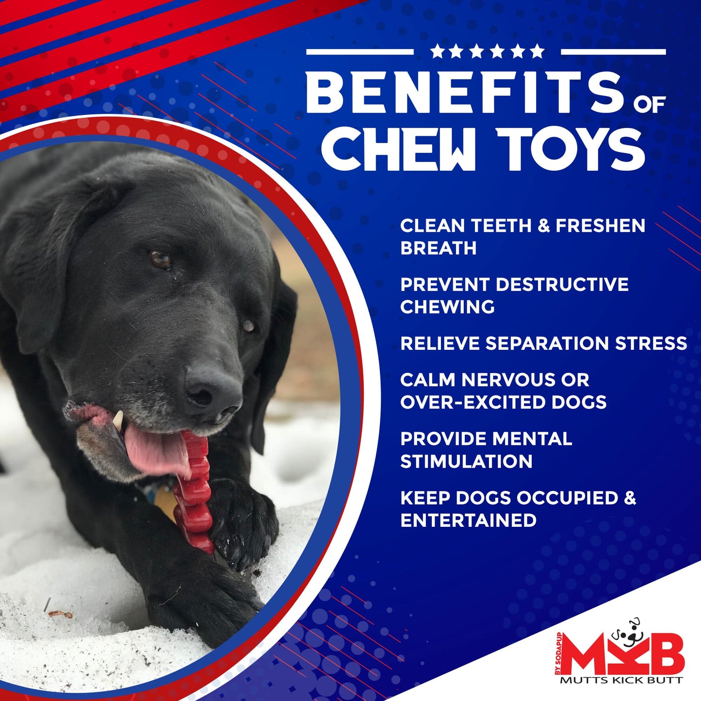 Christmas Tree Nylon Dog Chew Toy For Aggressive Chewers USA - lifestyle view