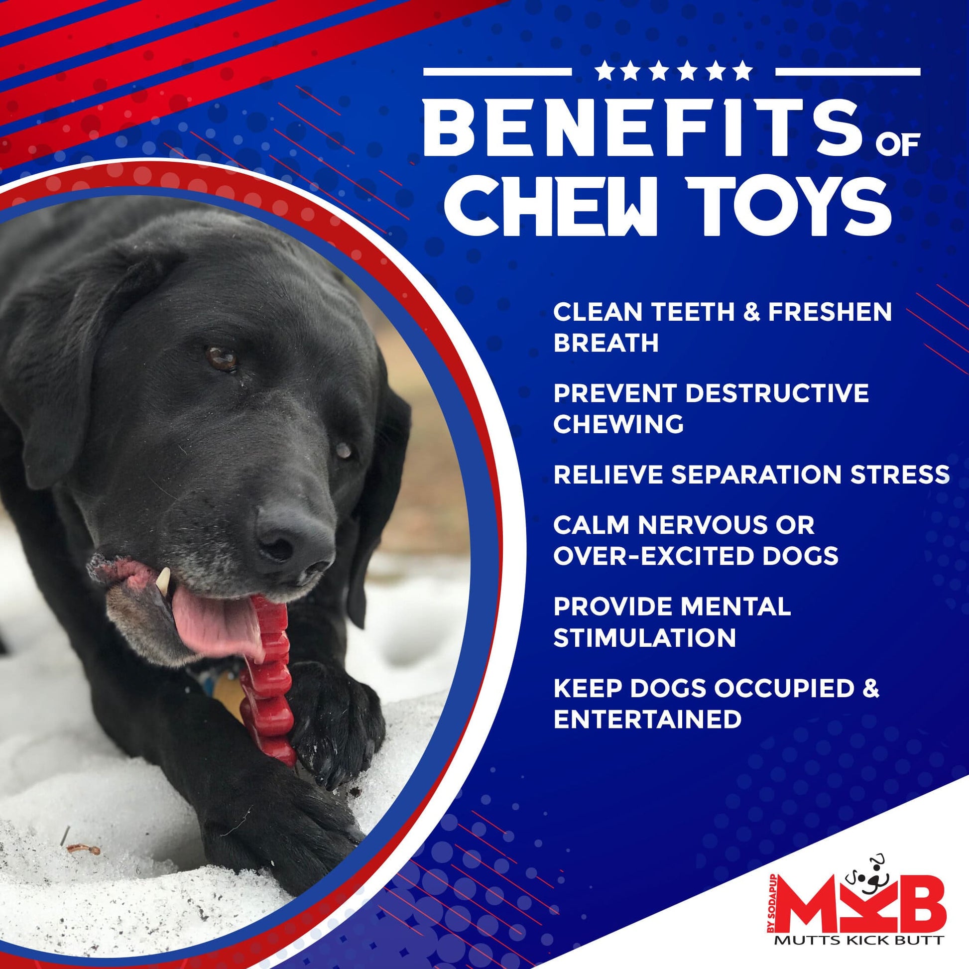 Christmas Tree Nylon Dog Chew Toy For Aggressive Chewers USA - lifestyle view